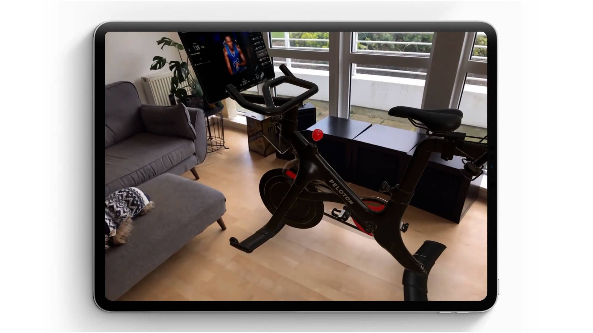 Peloton
